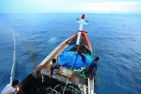 АСЕАН и Республика Корея активизируют взаимодействие в различных сферах